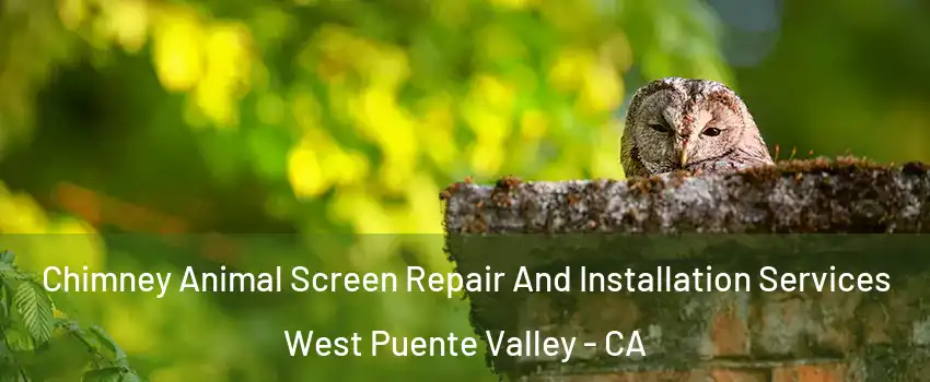  Chimney Animal Screen Repair And Installation Services West Puente Valley - CA