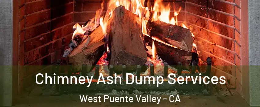  Chimney Ash Dump Services West Puente Valley - CA