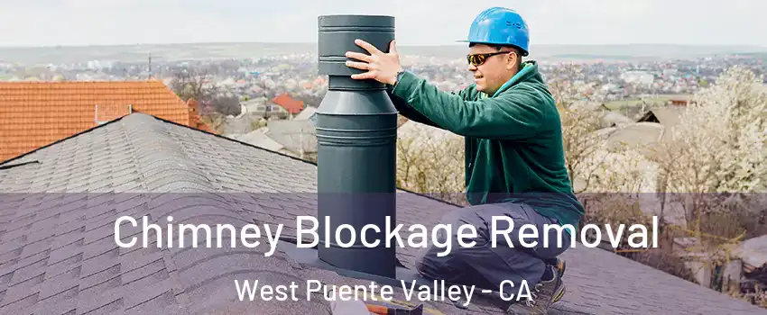  Chimney Blockage Removal West Puente Valley - CA