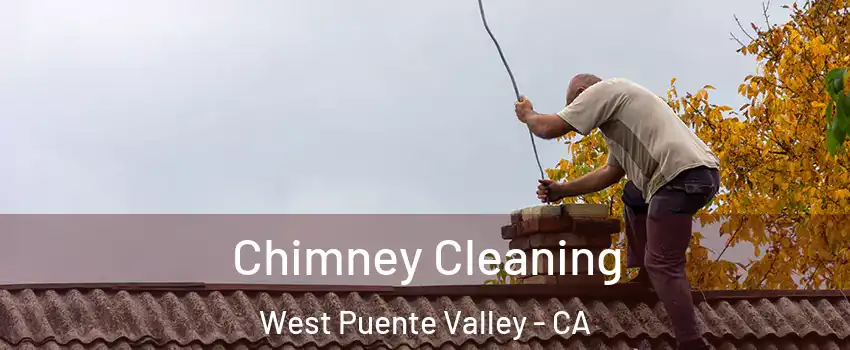  Chimney Cleaning West Puente Valley - CA