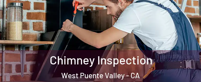  Chimney Inspection West Puente Valley - CA