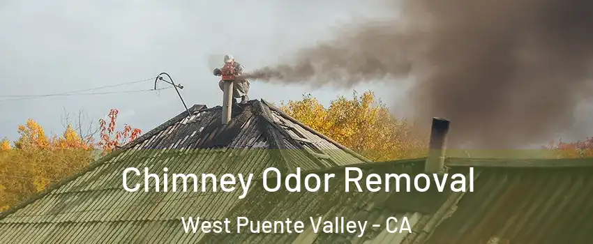  Chimney Odor Removal West Puente Valley - CA