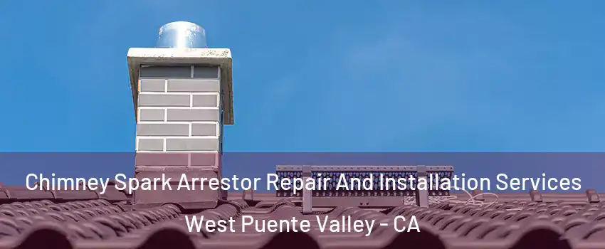  Chimney Spark Arrestor Repair And Installation Services West Puente Valley - CA