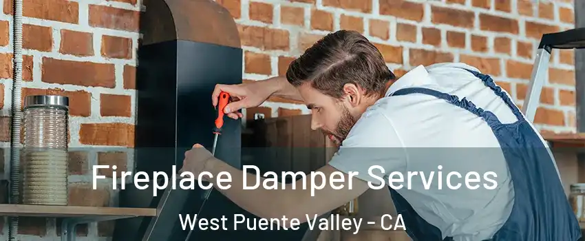  Fireplace Damper Services West Puente Valley - CA