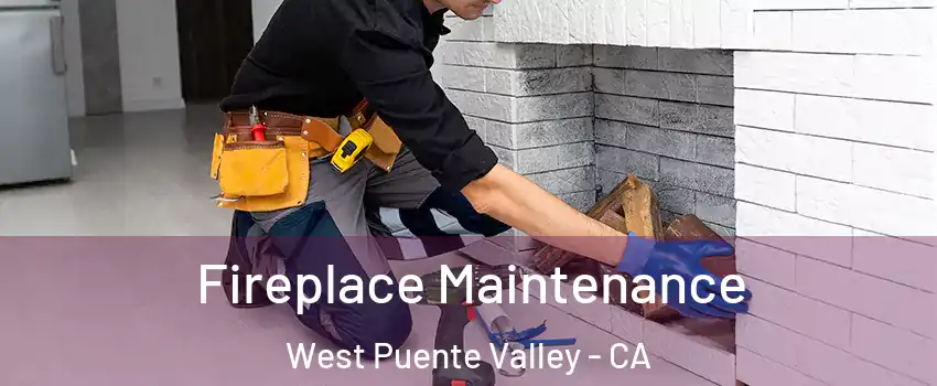  Fireplace Maintenance West Puente Valley - CA