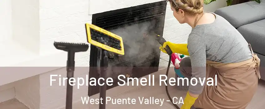  Fireplace Smell Removal West Puente Valley - CA