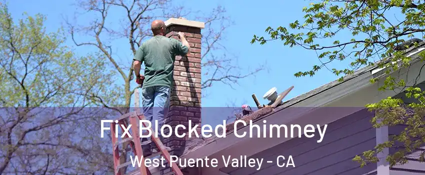  Fix Blocked Chimney West Puente Valley - CA