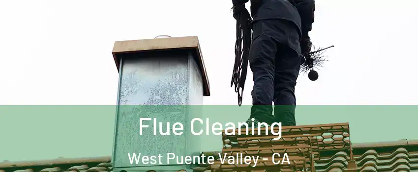  Flue Cleaning West Puente Valley - CA