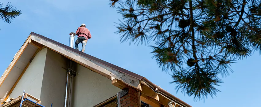 Birds Removal Contractors from Chimney in West Puente Valley, CA