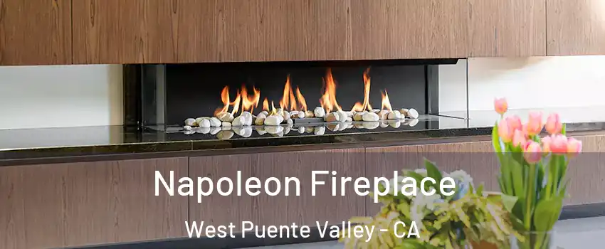  Napoleon Fireplace West Puente Valley - CA